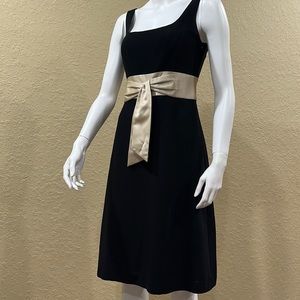 Ann Taylor knee length dress with ribbon size 4